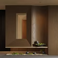 Modern Dark Wooden Partition With Built In Mirror Lower Shelf And Decorative Plants Stones Design