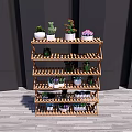 Various Potted Bonsai Plants On Wooden Multi Tiered Shelf With Dark Walls And Wooden Floor