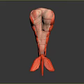 Fresh Red Sliced Lobster Tail Displaying Juicy Meat On Dark Background