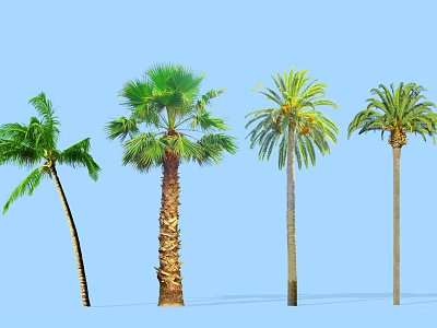 Various Types of Palm Trees Against Blue Sky with Distinct Trunk and Frond Features 3d model