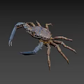 Close Up View Of Colorful Aquatic Crab With Blue Claws And Brown Legs