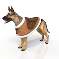 German Shepherd Dog Standing Wearing Brown Vest With White Trim On White Background