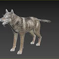 Realistic 3D Wolf Model With Standing Pose And Natural Fur Details 3d model