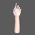 Realistic Human Hand and Arm with Slightly Curved Fingers Against Gray Background