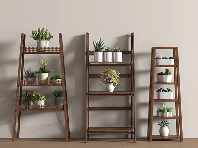 Multi Tiered Wooden Plant Stands With Potted Succulents And Flowers Indoors 3d model