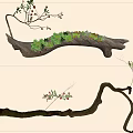 Natural Branch Decor With Small Plants Red Berries And Green Moss