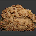 Homemade Nutty Bread Topped With Chopped Nuts Golden Brown Crust And Crunchy Texture