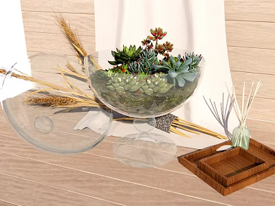Glass Vase with Succulents Wheat Stalks Wooden Tray and Reed Diffuser 3d model