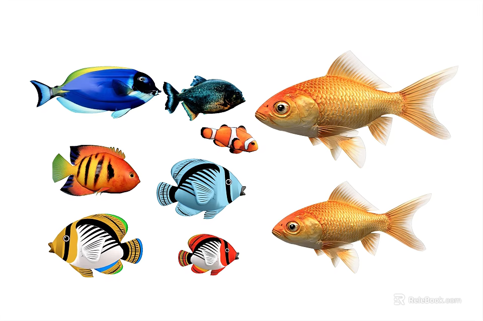 Colorful Aquatic Animals Featuring Goldfish Clownfish And Tropical Fish Species 3d model 