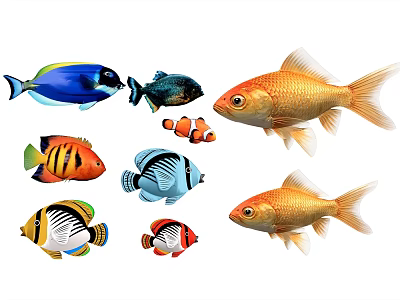 Colorful Aquatic Animals Featuring Goldfish Clownfish And Tropical Fish Species 3d model