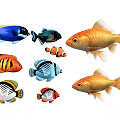 Colorful Aquatic Animals Featuring Goldfish Clownfish And Tropical Fish Species