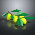 Fresh Healthy Yellow Fruits With Lush Green Leaves On Natural Wooden Branch
