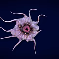 Purple Pink Biological Organism With Long Tentacles And Central Circular Structure On Dark Blue Background