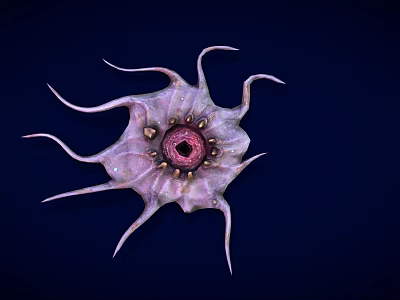 Modern deformation starfish 3d model