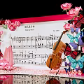 Romantic Wedding March Photo Check-in Spot with Pink Roses Butterflies and Violin