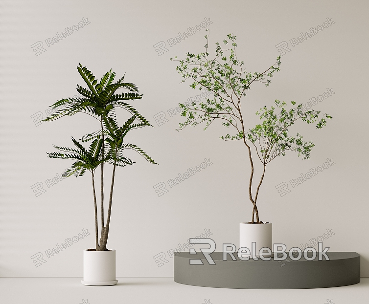 Green Plant Potted Plant Potted Plant Bonsai Flower Pot Indoor Plant model