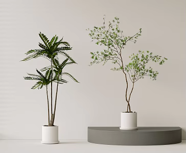 Green Plant Potted Plant Potted Plant Bonsai Flower Pot Indoor Plant 3d model