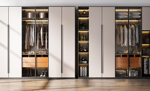 Modern wardrobe combination 3d model