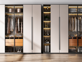 Modern wardrobe combination 3d model