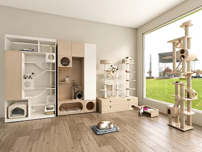 Cat Furniture Setup In Room With Wooden Flooring And Large Window View 3d model