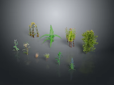 Various Green Plants Collection With Different Shapes And Sizes Displayed On Gray Background 3d model