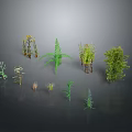 Various Green Plants Collection With Different Shapes And Sizes Displayed On Gray Background