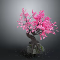 Vibrant Pink Flowering Tree With Twisted Trunk And Stone Base On Dark Background