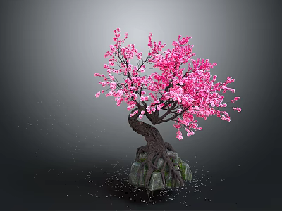 Vibrant Pink Flowering Tree With Twisted Trunk And Stone Base On Dark Background 3d model