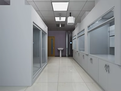 Spacious Laboratory Corridor With White Cabinets Glass Doors Sink And Ceiling Lights 3d model