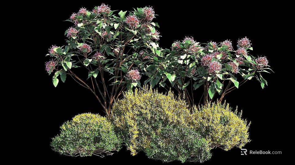 Colorful Garden Shrubs With Purple Flowers And Green Yellow Foliage Varieties 3d model 