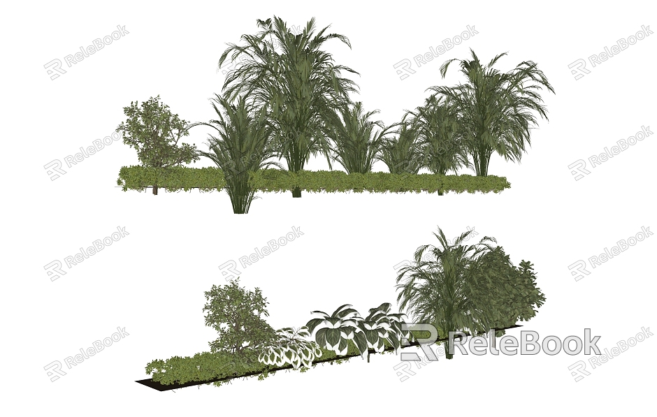 trees tropical plants greenery trees model