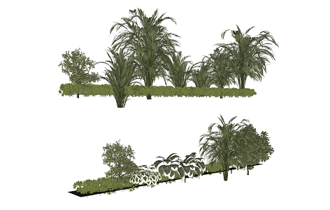 trees tropical plants greenery trees 3d model