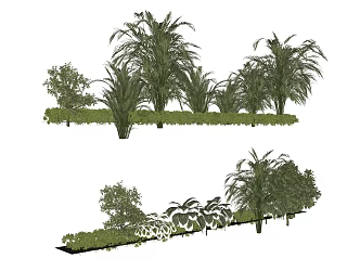 trees tropical plants greenery trees 3d model