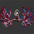 3D Anatomical Model Of Lungs Organ With Trachea And Hair Like Blood Vessels