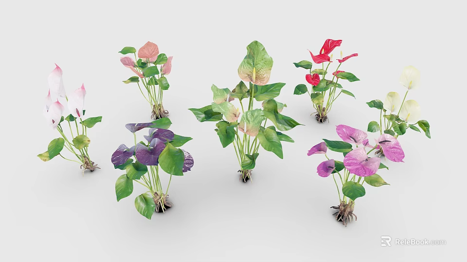 Colorful Potted Plants With Green Leaves And Pink Purple Red Flowers 3d model 