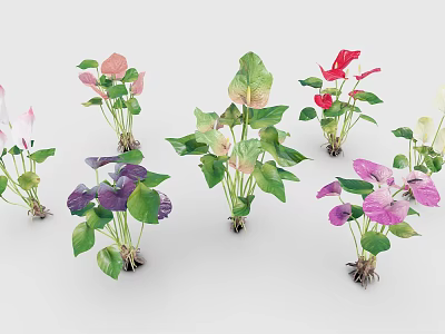 Colorful Potted Plants With Green Leaves And Pink Purple Red Flowers 3d model