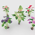 Colorful Potted Plants With Green Leaves And Pink Purple Red Flowers