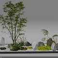 Indoor Landscape Design Featuring Tall Tree Rocks Low Green Plants White Pebbles