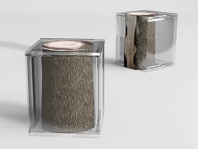 Two Modern Tree Stump Stools In Transparent Cube With Natural Wood Grain 3d model