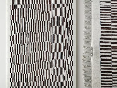 Modern Square Rug With Black And White Striped Pattern And Fringe Edges Design 3d model