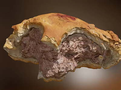 Golden Crusted Meat Pie With Savory Meat Filling And Bitten Appearance 3d model