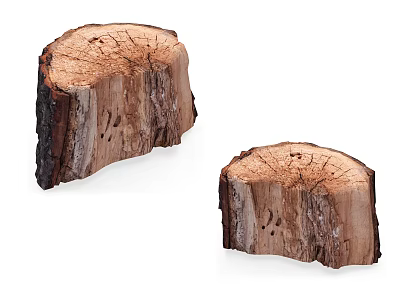 Natural Wood Stump Slices With Organic Texture For Rustic Home Decor 3d model