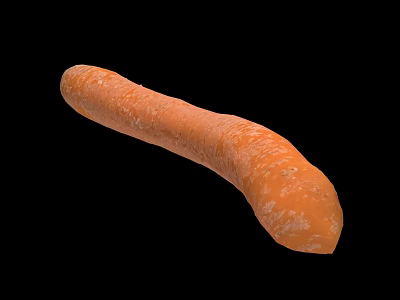 Fresh Orange Carrot with Surface Texture Against Black Background as Healthy Vegetable 3d model