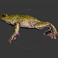 Vibrant Yellow Green Spotted Frog with Pink Legs and Red Eyes on Dark Background
