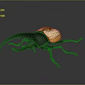 Rhinoceros Beetle With Large Horn Black Body And Yellow Elytra On Gray Background