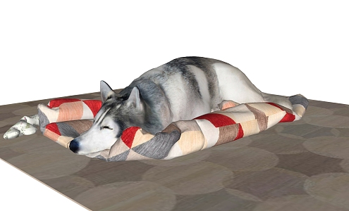 Modern Dog Pet Dog Husky 3d model