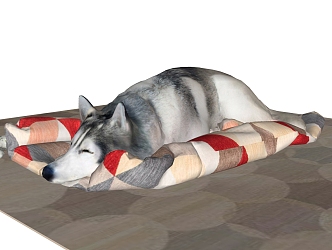 Modern Dog Pet Dog Husky 3d model