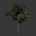 Lush Green Tree With Vibrant Green Leaves And Brown Trunk Against Gray Background