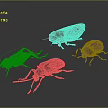 Four Black Beetles With Shiny Exoskeletons On Gray Background Detailed