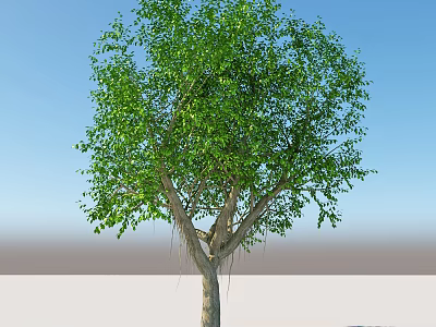 Lush Arbor With Green Leaves And Wooden Trunk Against Blue Sky On Light Ground 3d model